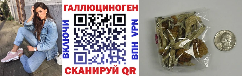 Псилоцибиновые грибы ЛСД  сайты даркнета Telegram  Каргополь 